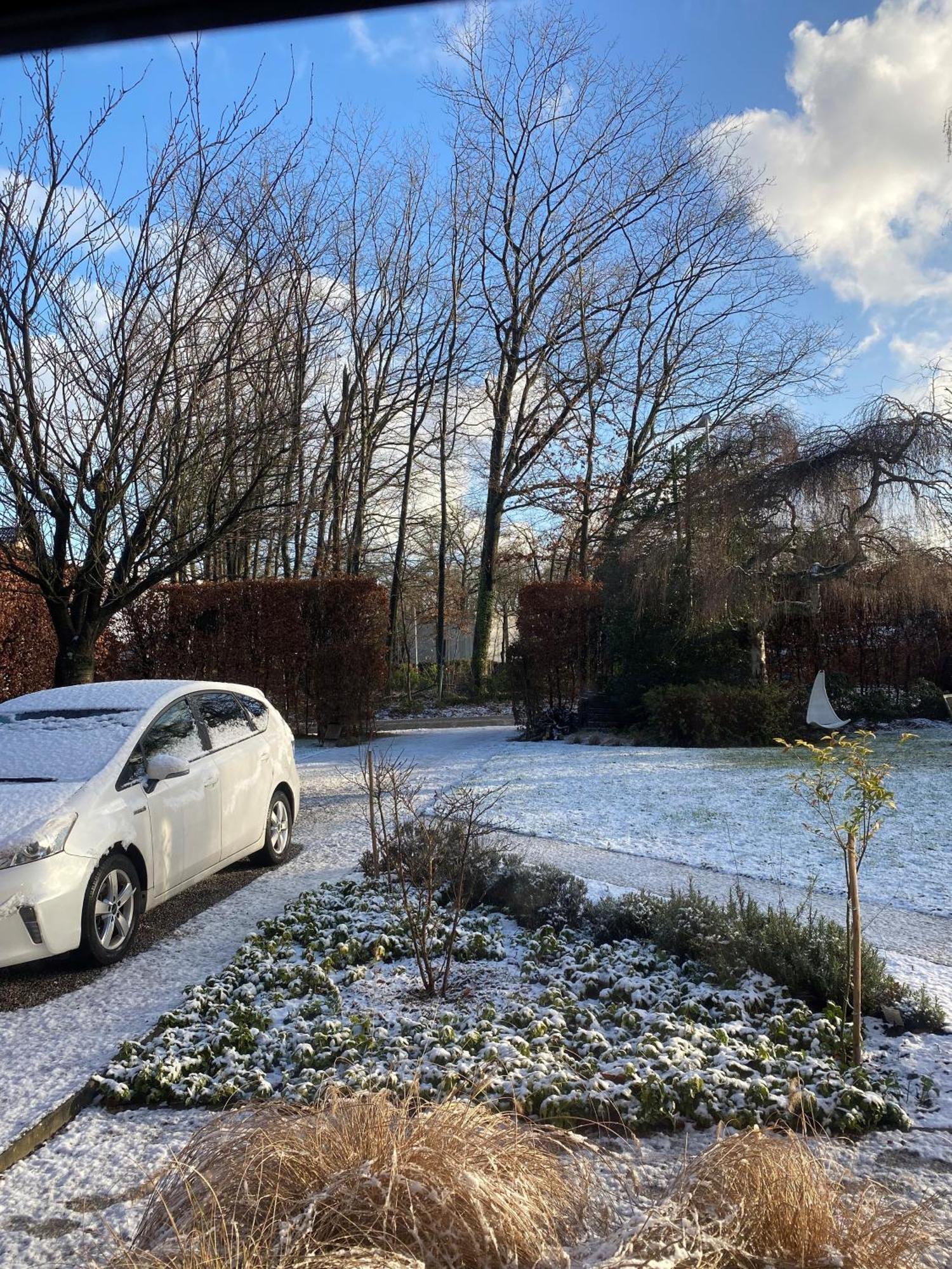 De Graslelie Daire Schoten Dış mekan fotoğraf